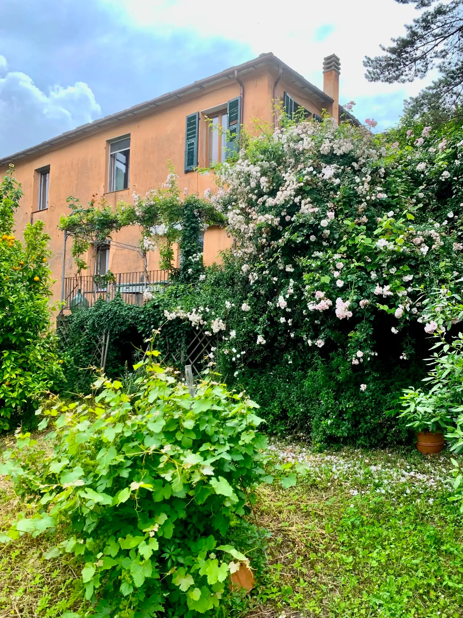 Large village house with garden