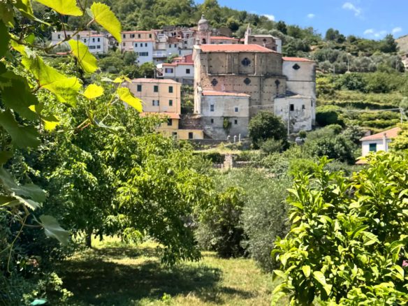Large village house with garden