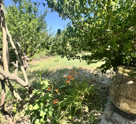 Part of a house with garden