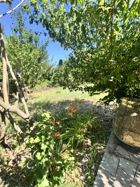 Part of a house with garden
