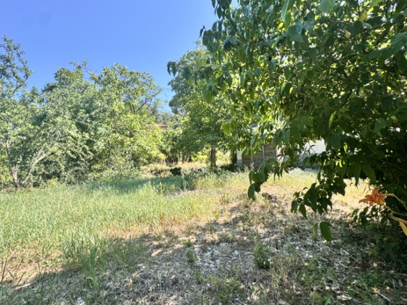 Part of a house with garden