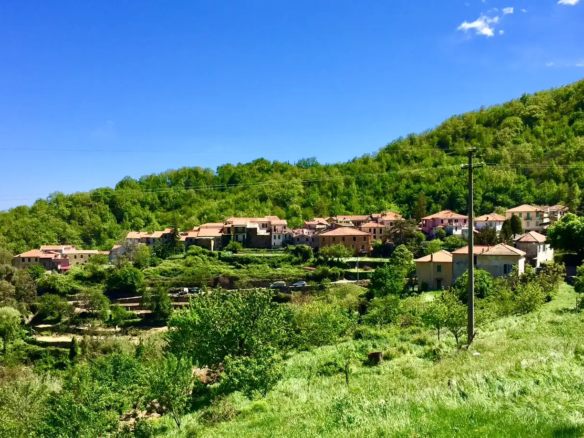 Large village house with garden