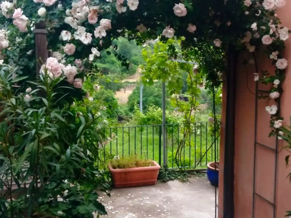 Large village house with garden