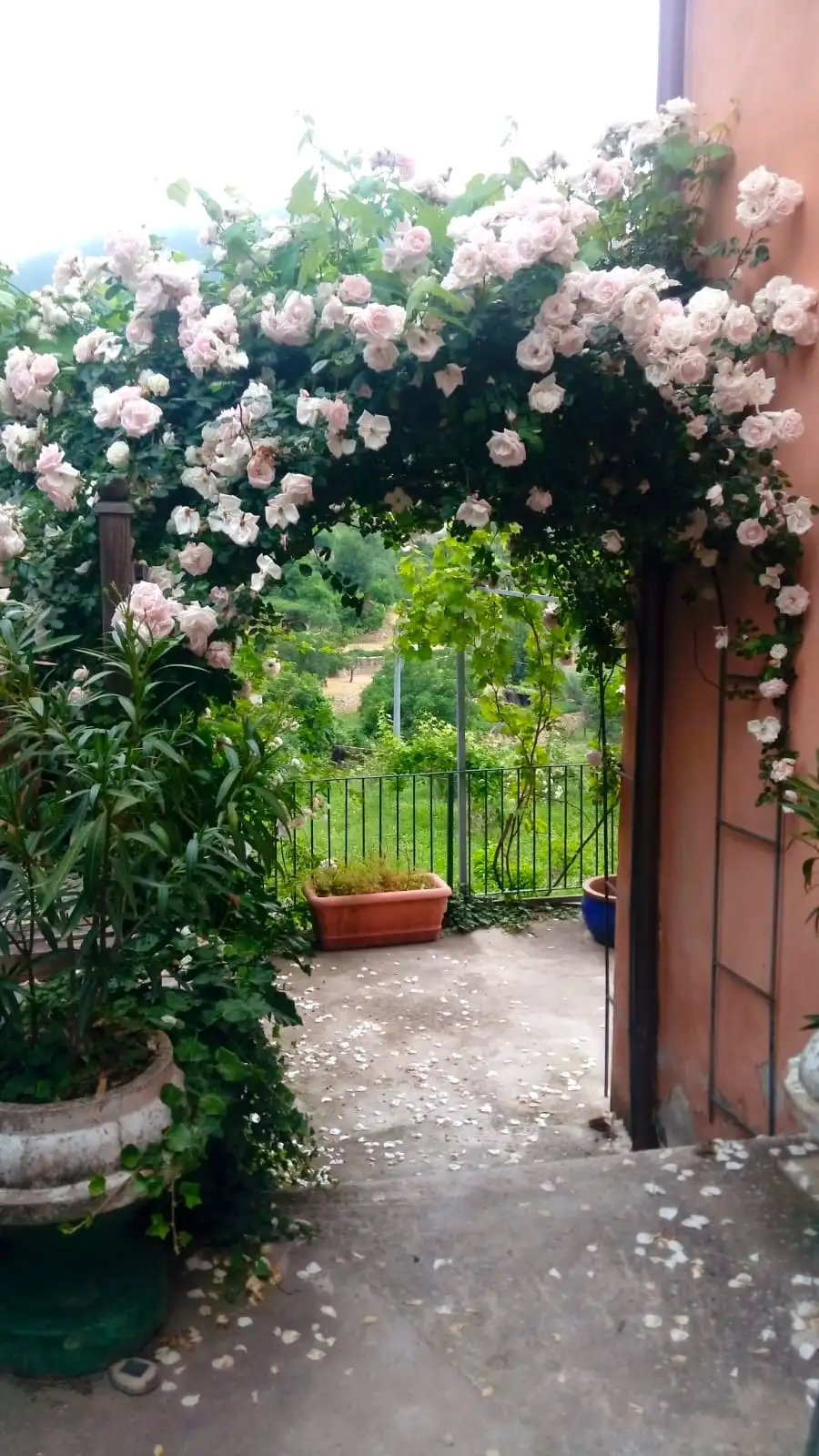 Large village house with garden