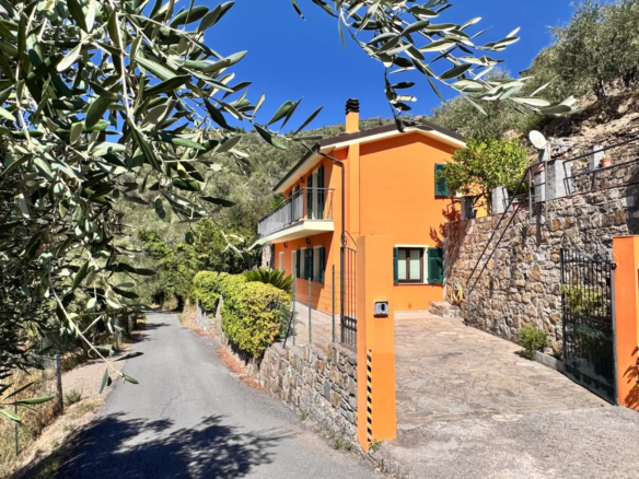 Spacious villa with olive grove