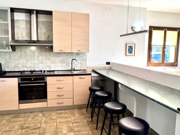 Spacious villa with olive grove