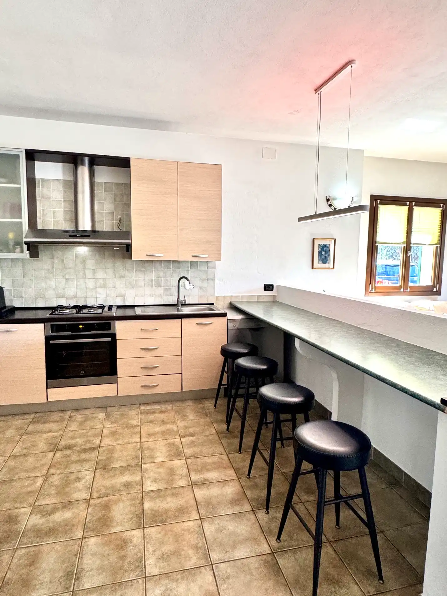 Spacious villa with olive grove