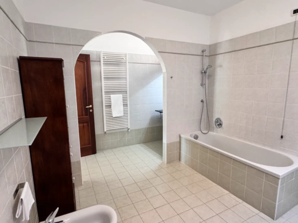 Spacious villa with olive grove