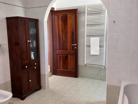 Spacious villa with olive grove