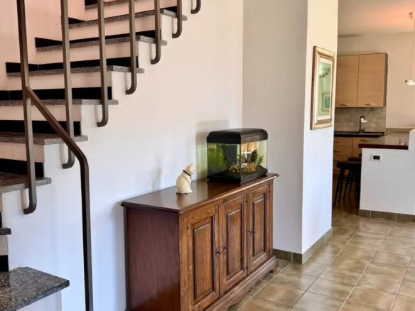 Spacious villa with olive grove