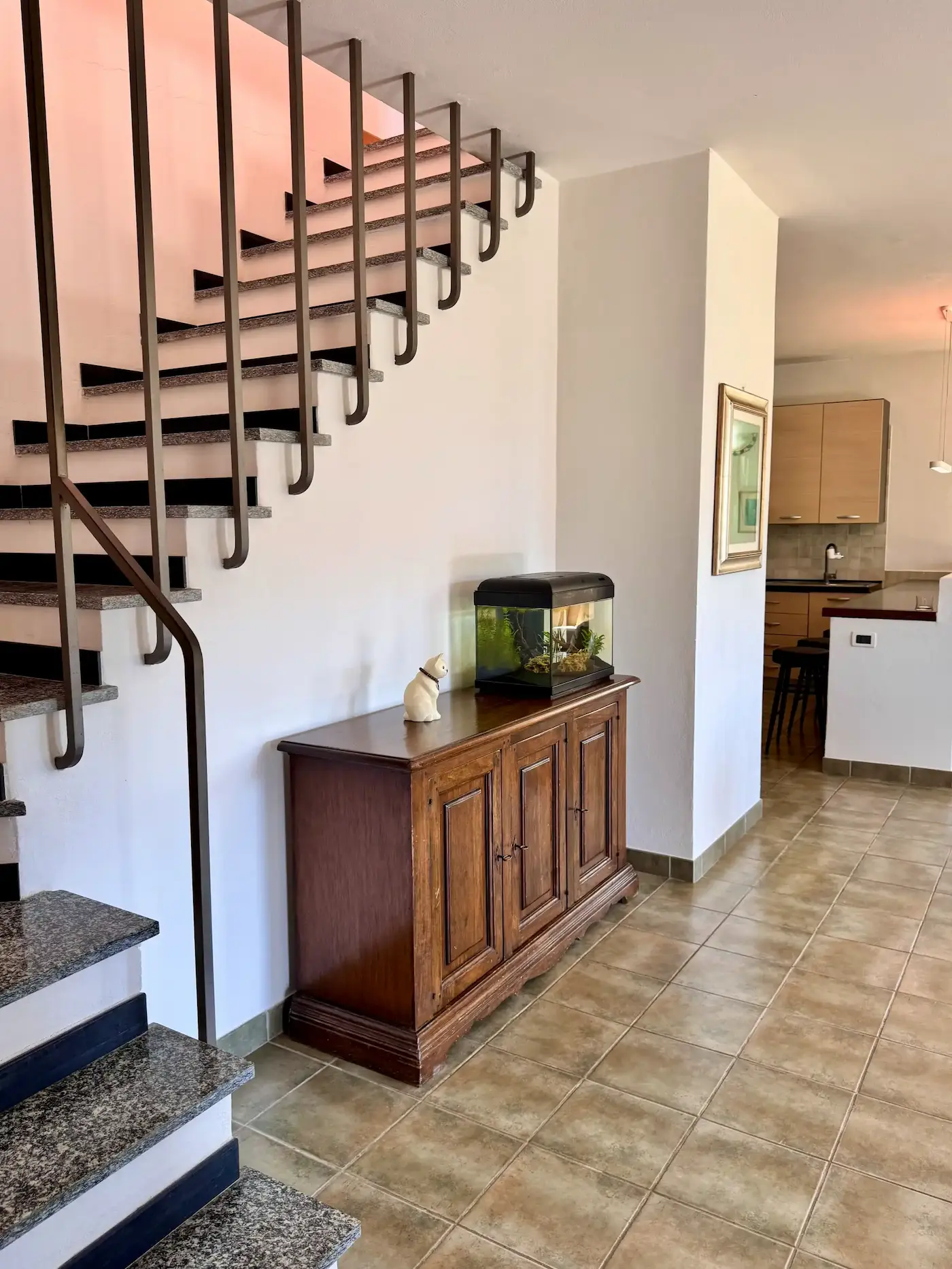 Spacious villa with olive grove