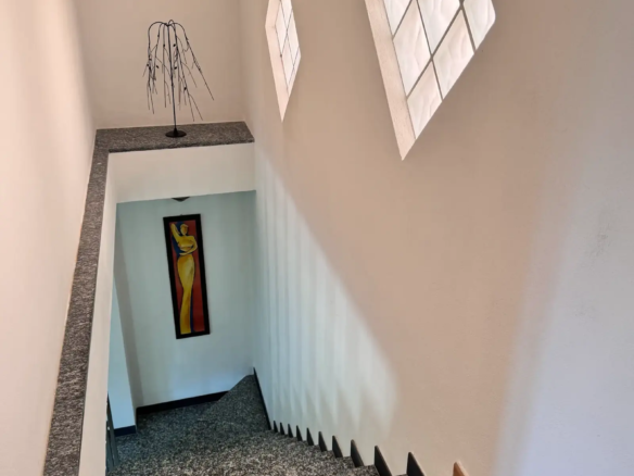 Spacious villa with olive grove