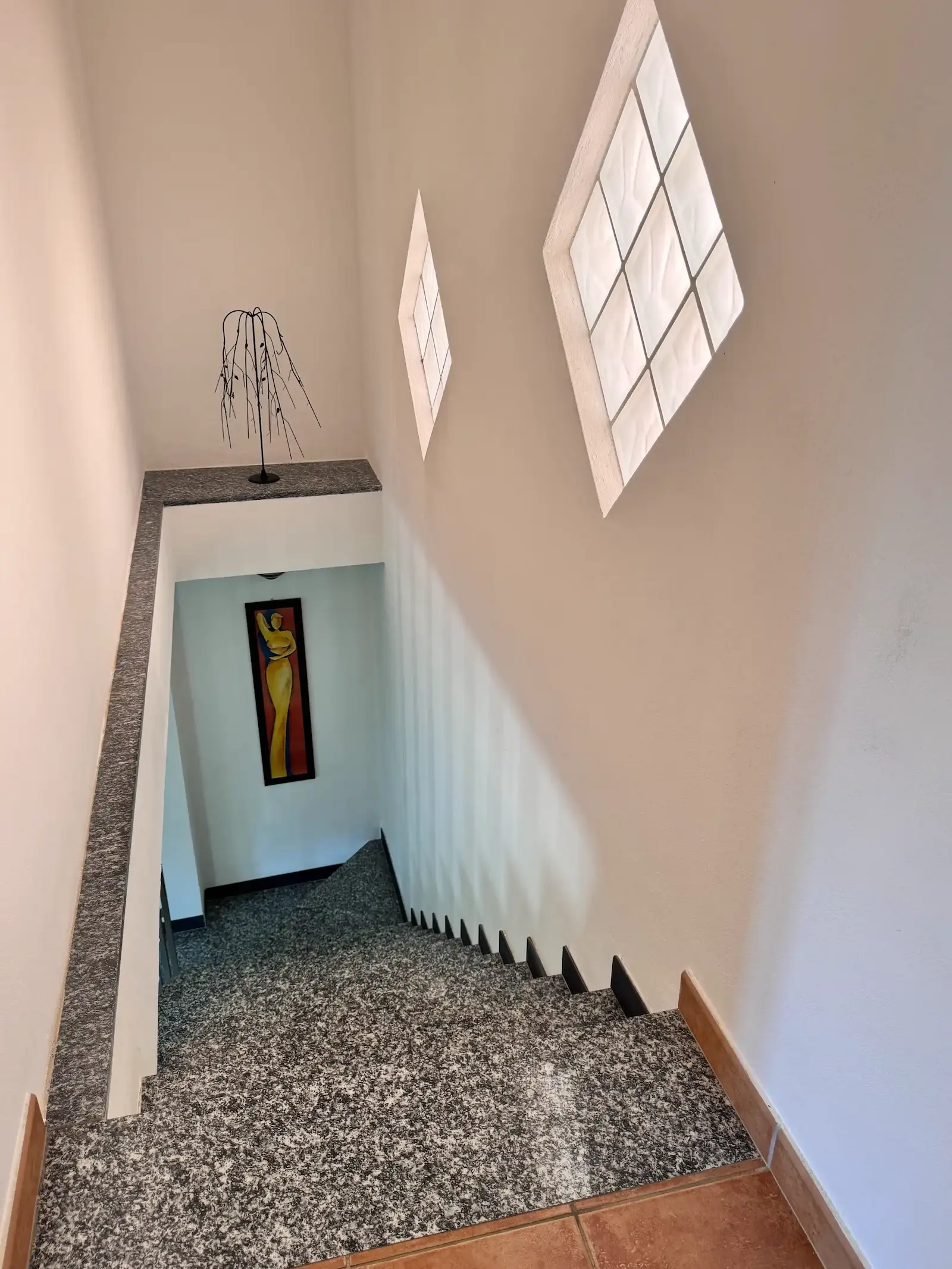 Spacious villa with olive grove