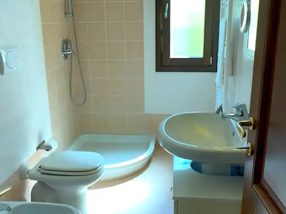 Spacious villa with olive grove