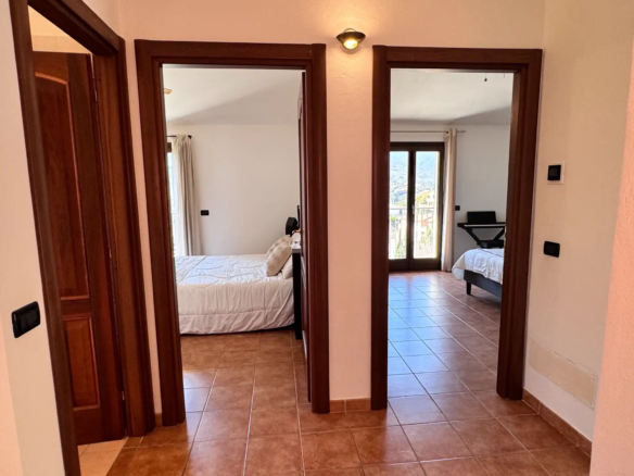 Spacious villa with olive grove