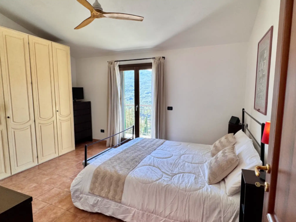 Spacious villa with olive grove