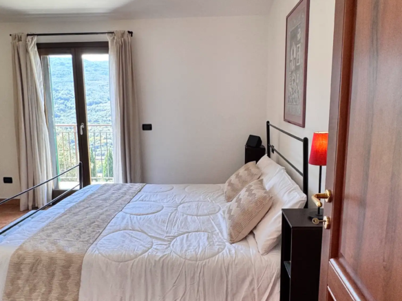 Spacious villa with olive grove