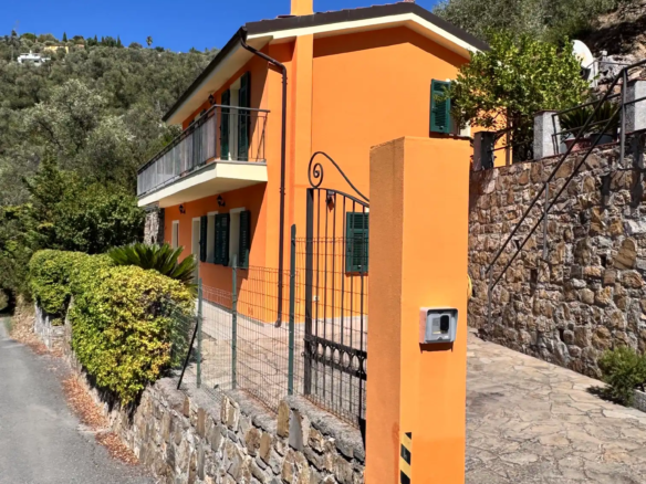 Spacious villa with olive grove