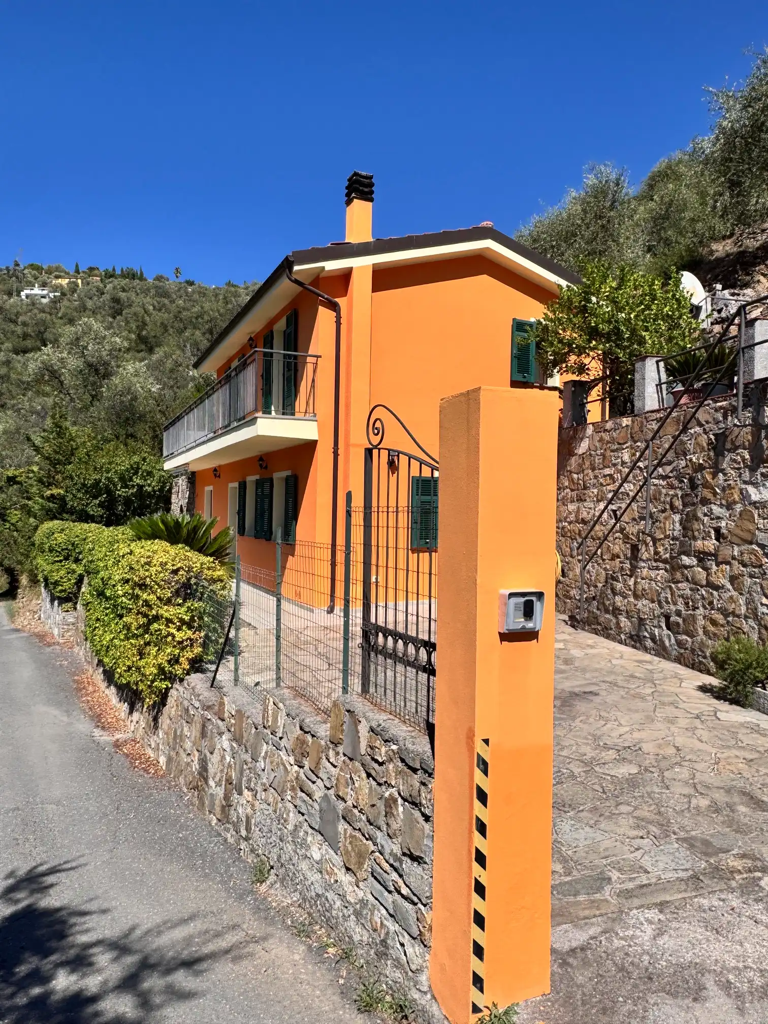 Spacious villa with olive grove