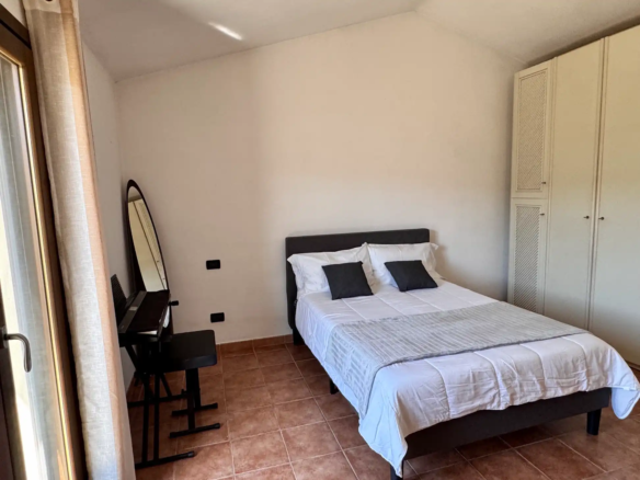 Spacious villa with olive grove