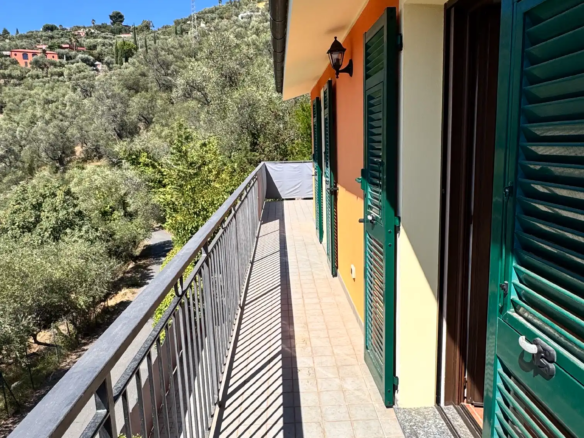 Spacious villa with olive grove