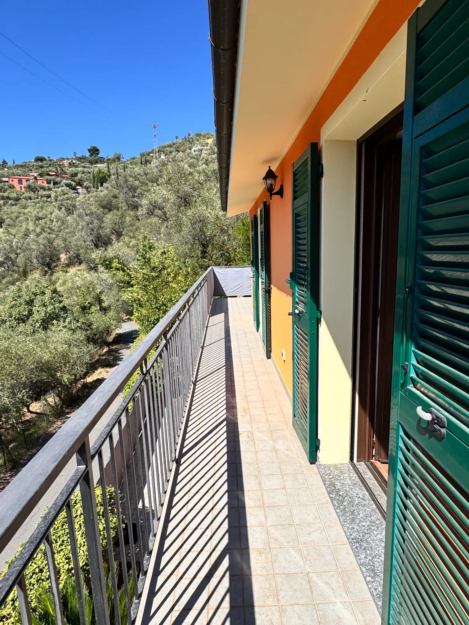 Spacious villa with olive grove