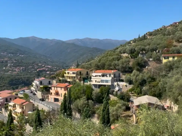 Spacious villa with olive grove