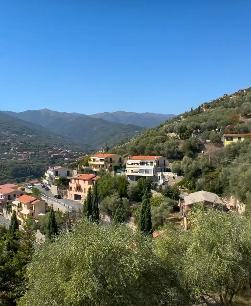 Spacious villa with olive grove