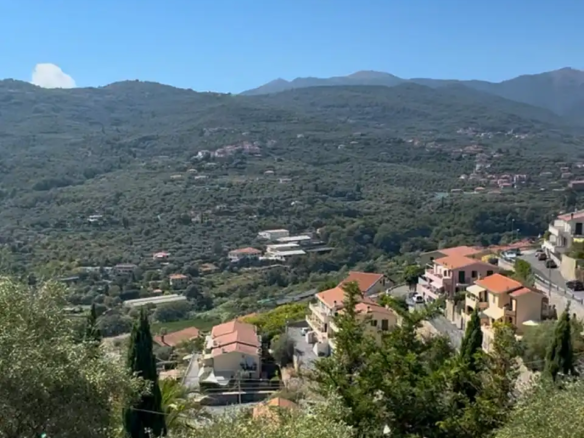 Spacious villa with olive grove