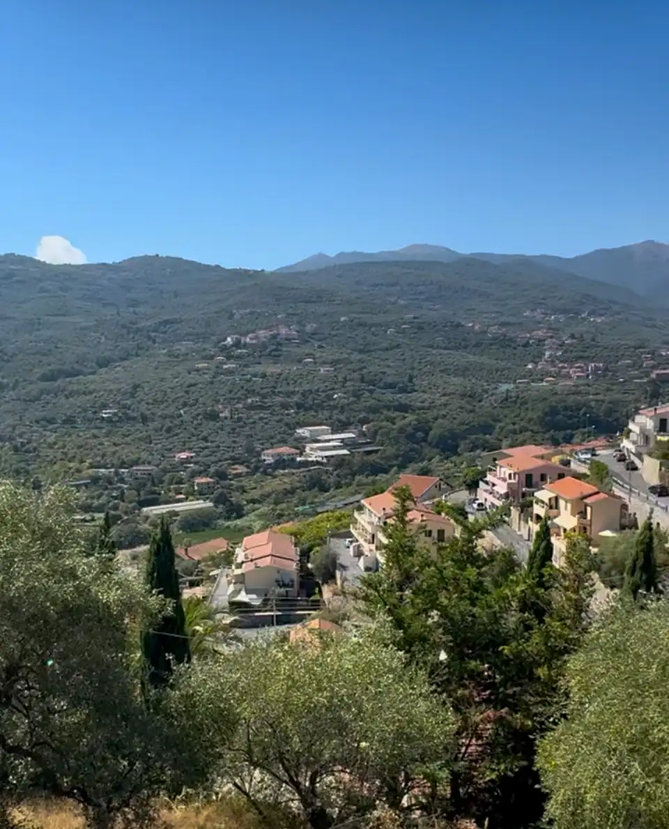 Spacious villa with olive grove