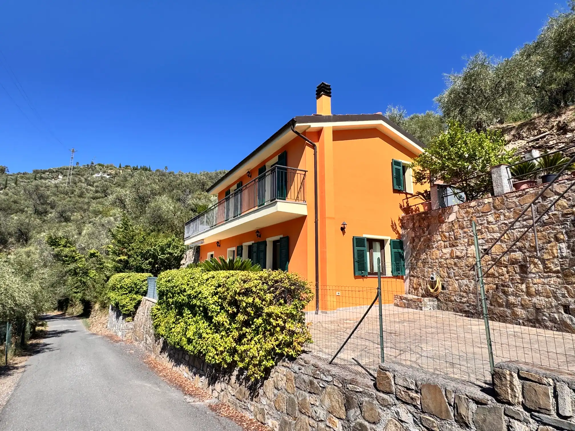 Spacious villa with olive grove