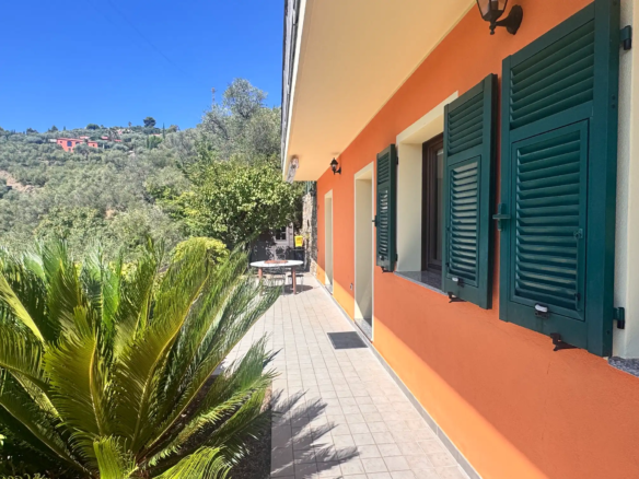 Spacious villa with olive grove