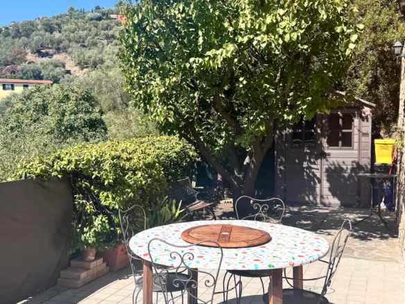 Spacious villa with olive grove