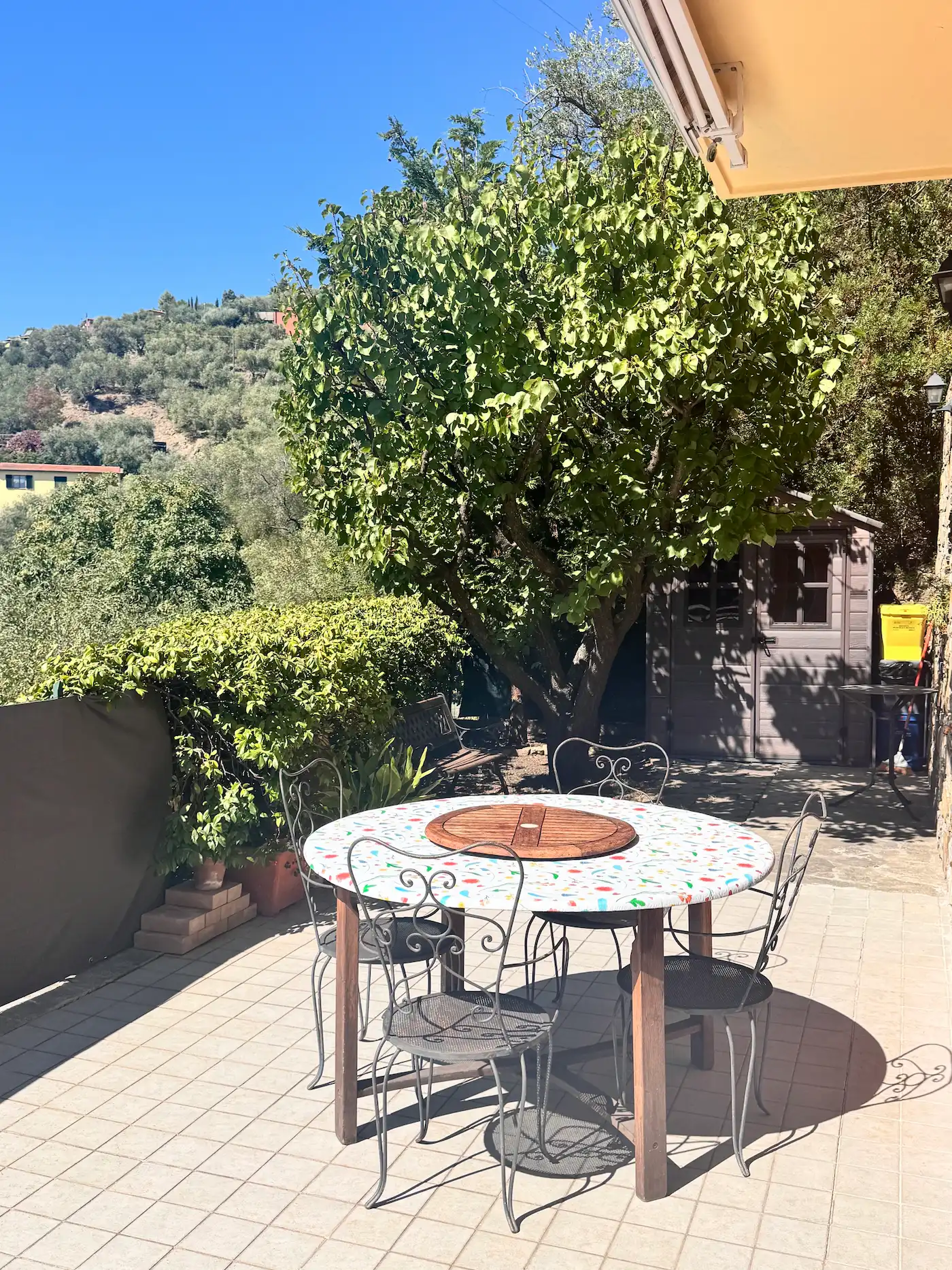 Spacious villa with olive grove