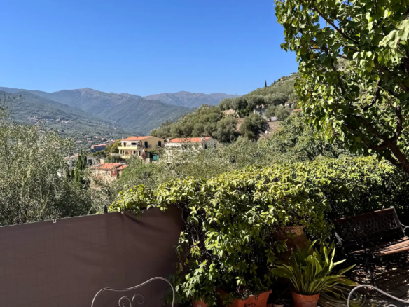 Spacious villa with olive grove