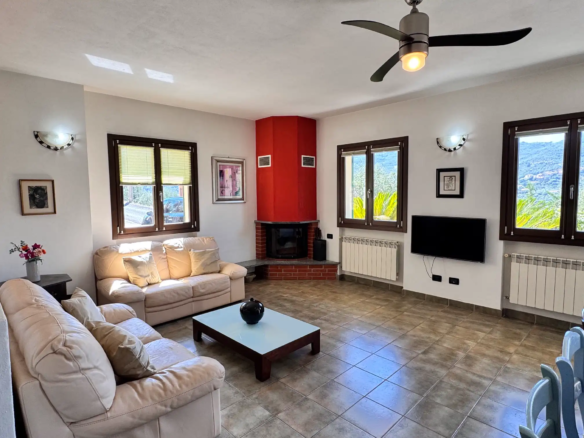 Spacious villa with olive grove