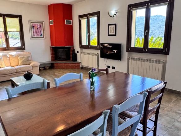 Spacious villa with olive grove