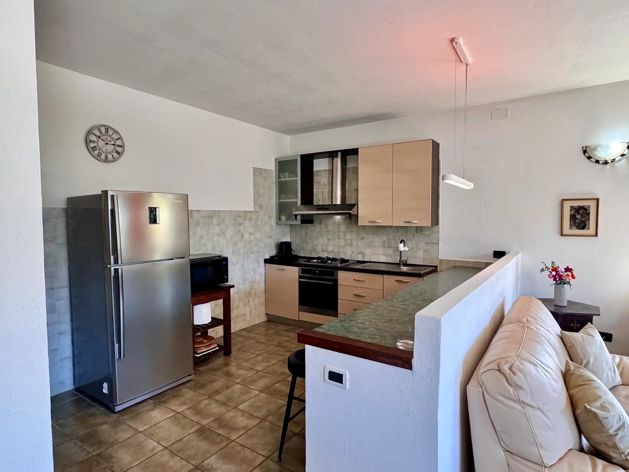Spacious villa with olive grove