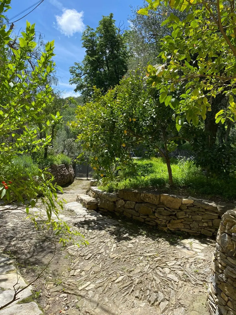 Charming village house with rooftop terrace & garden