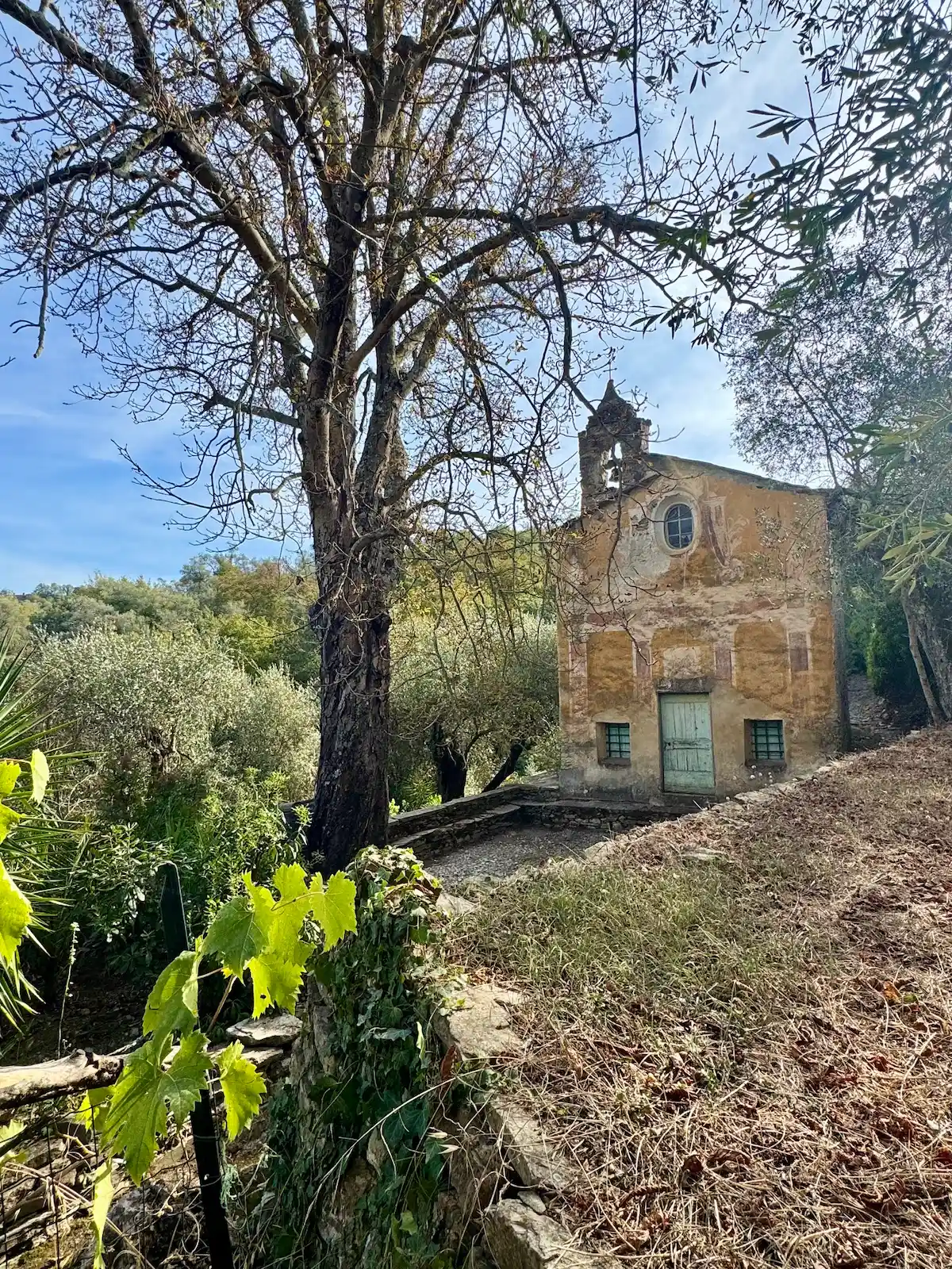 Restored house with garden and parking space